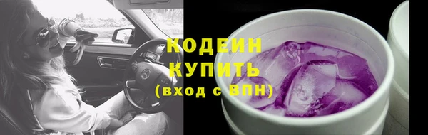 ешки Няндома