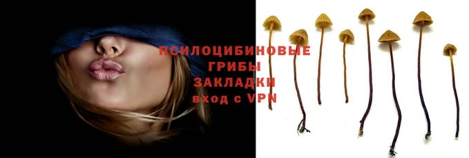 спайс Новозыбков