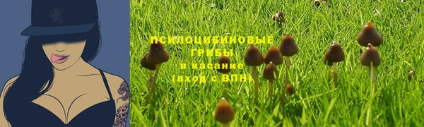 ешки Няндома