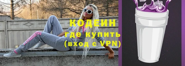 ешки Няндома