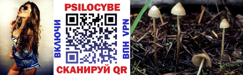 Псилоцибиновые грибы MAGIC MUSHROOMS Петровск-Забайкальский